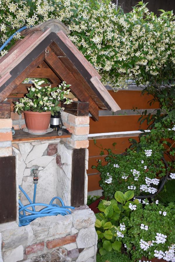 Apartments Scepanovic ティヴァト エクステリア 写真